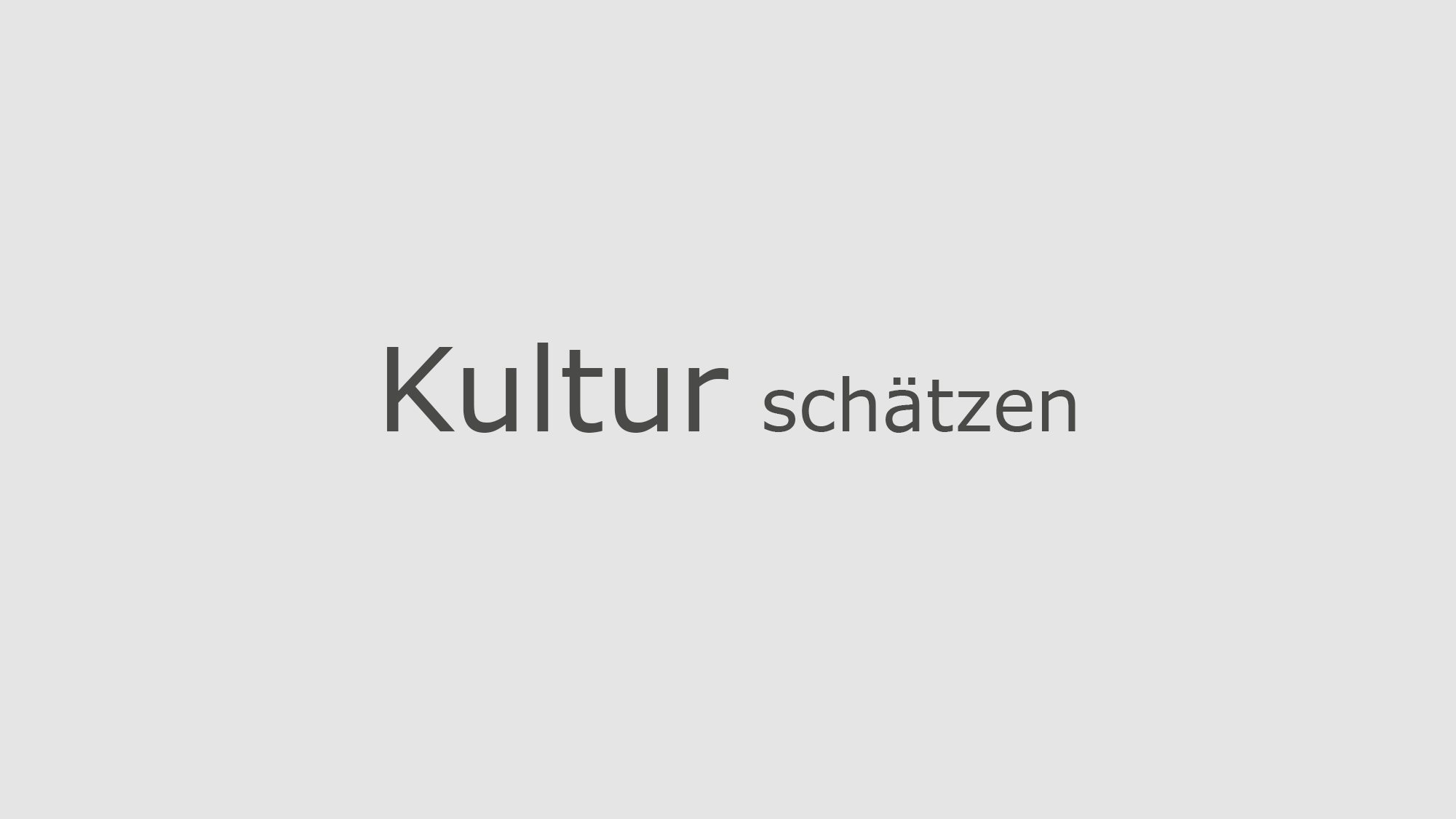 kultur schaetzen_Text_web_grau Kopie